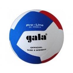 Míč volejbal Gala BV5585S Pro Line